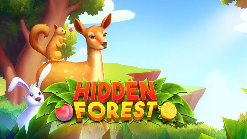 Image Hidden Forest